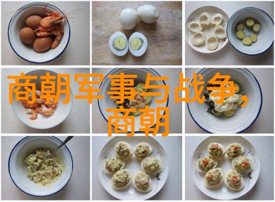 伯颜东晋的光芒与影子
