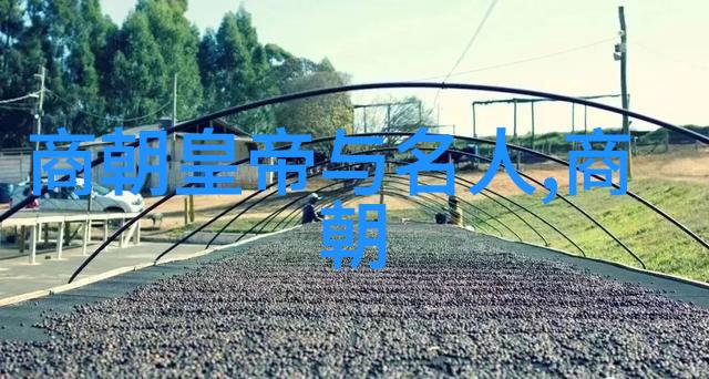 天命之轮五帝的辉煌序列