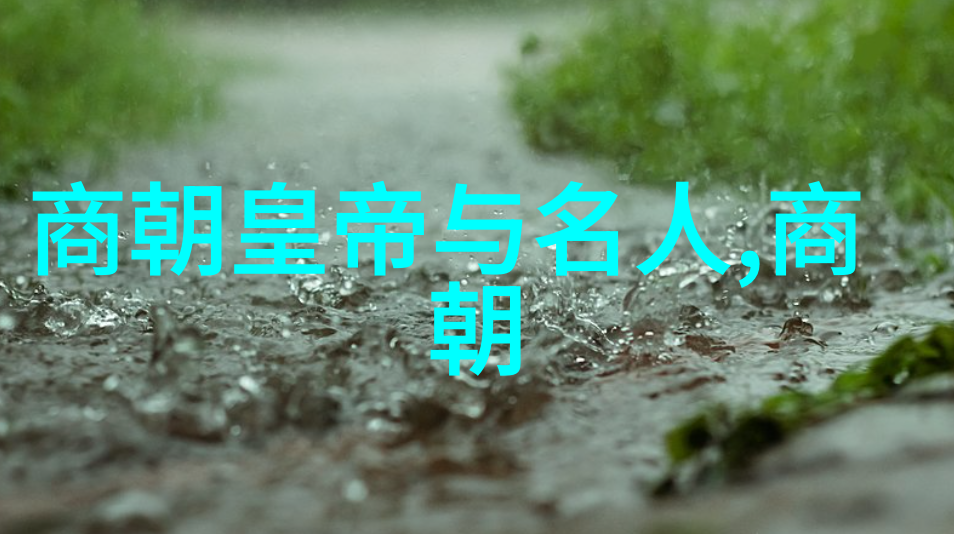 宋代文人墨客的世界观与艺术追求