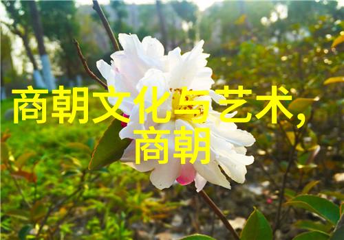 王珮瑜2021春晚表演