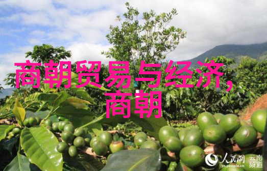 从草原到帝都探索元朝两次建国之谜