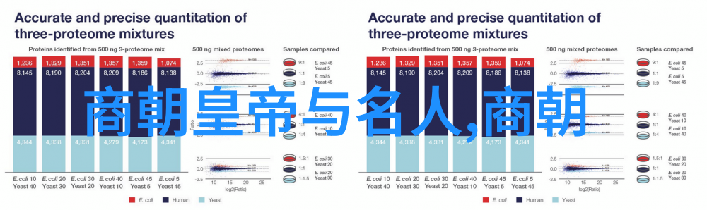 明朝百姓服饰画像解析数据洞察锦心似玉的时代印记