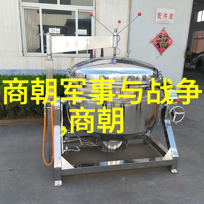 帝影沉沉寂寞中藏秘汉王之谜朱瞻基短命的背后