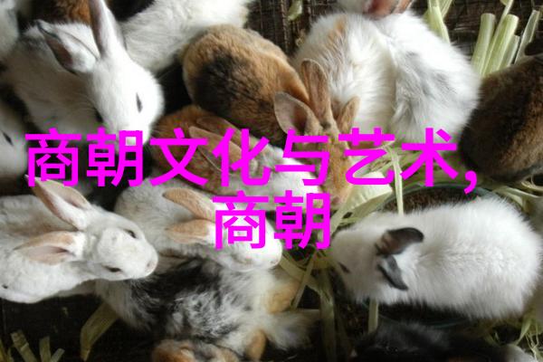 秦朝风华夏无且策马长城如行云李斯笔下天下皆为棋局