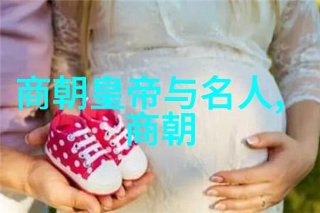 明朝最好的帝王之谜评定明代君主的成就与遗憾