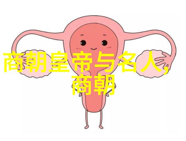 探索中华大地的悠久记忆揭秘几千年历史的深度
