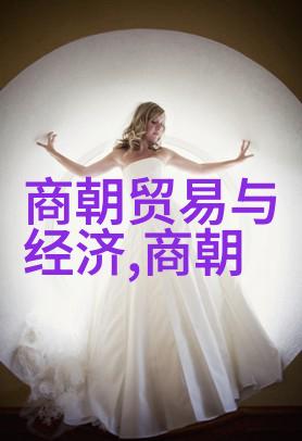 历史的垃圾堆明清两朝的对比考察