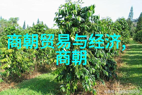 历史明朝 排名顺序-明代皇帝排行表从洪武至崇祯的统治者列表