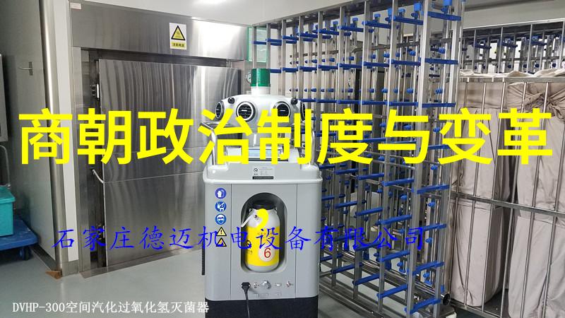 明朝风华龙舞凤翔
