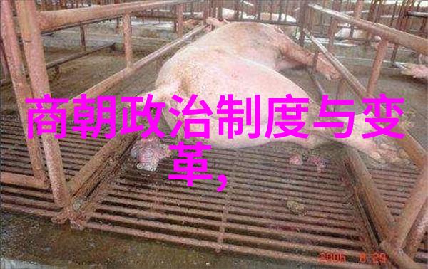 男歌王霸占中国乐坛谁能与之并肩