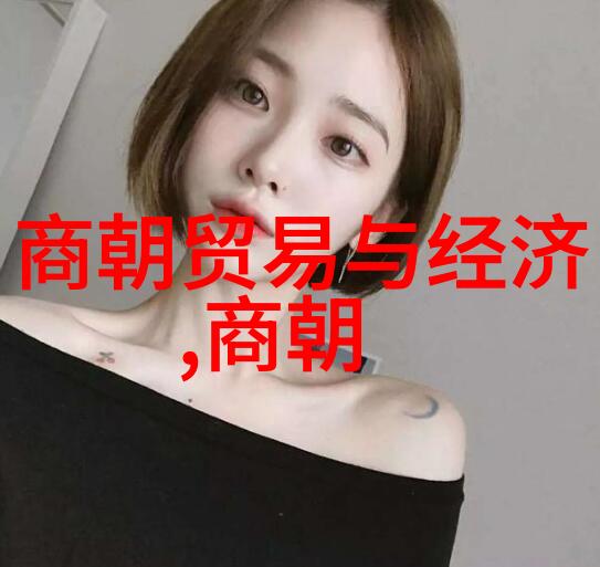 明朝人物录煌发辉煌的史实篇章