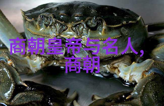 明朝族谱简图我来给你讲讲我们家族的荣耀往事