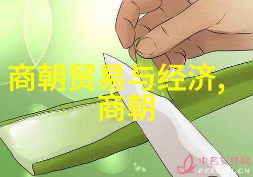 掏龙之谜揭秘古代传说中的神秘物品