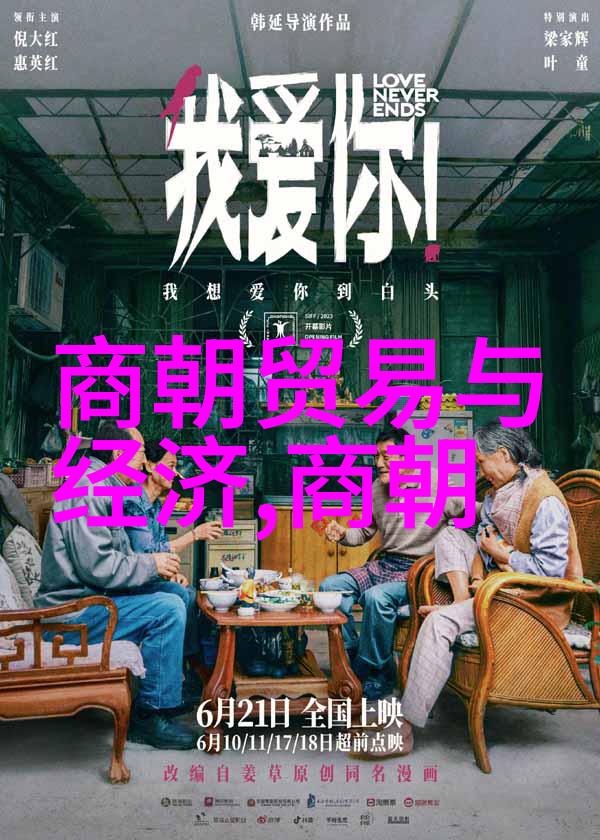 南宋后继之朝元朝的兴起与变革