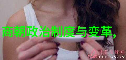 明朝为什么那么有骨气 - 明清之交民族精神的巍峨篇章