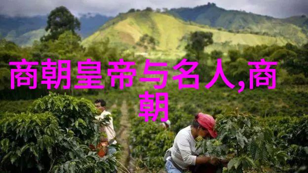 纷争与繁荣明朝时期历史的织品