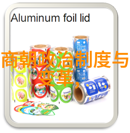 逆袭的烂王朝明朝的沉浮史