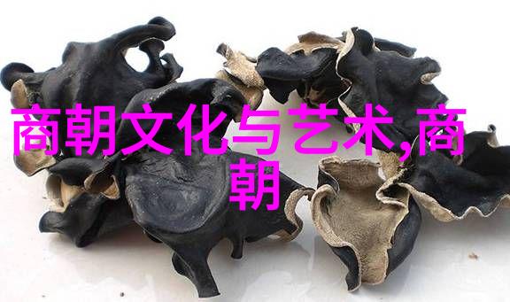揭秘明朝那些事儿全集有声小说的奇遇与历史真相
