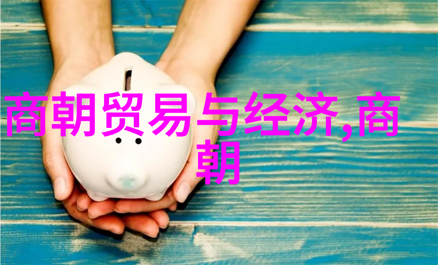 杨再兴之子在宋朝政治制度的变革中扮演了什么角色