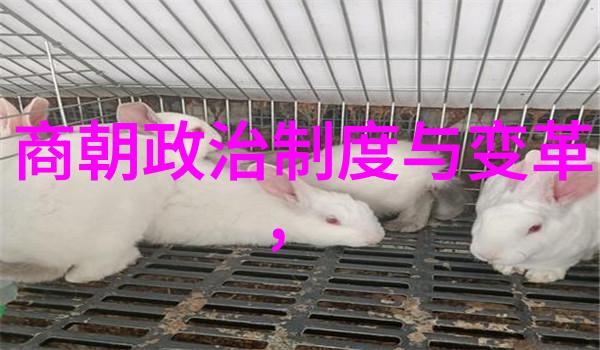明朝那些事儿中的真人设与虚构角色相比孰优孰劣
