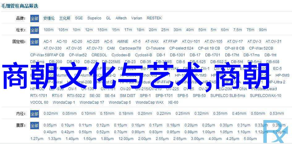 中国历史文化-探索中华璀璨中国历史文化的丰富内容与深远影响