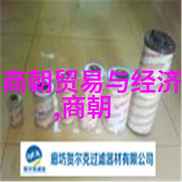 皇宫里的禁忌与秘密解读帝王夫人的野史轶事