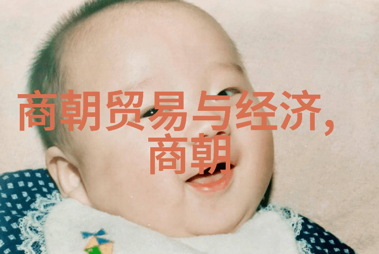 大明风华中的孙若微身边丫鬟穿越时空的忠诚与爱