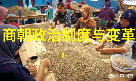 明朝那些事儿小说免费阅读揭秘古卷跟我一起翻开明朝那些隐秘故事