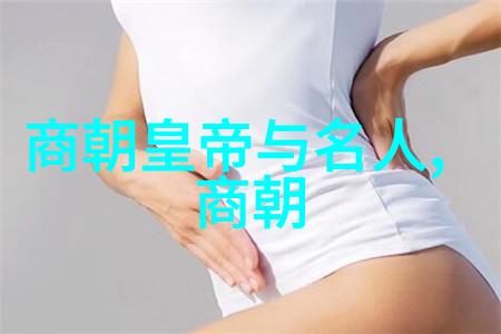 元朝历史中国明清时期的政治经济文化概述
