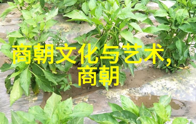 全国有多少位一级书法家的董其昌