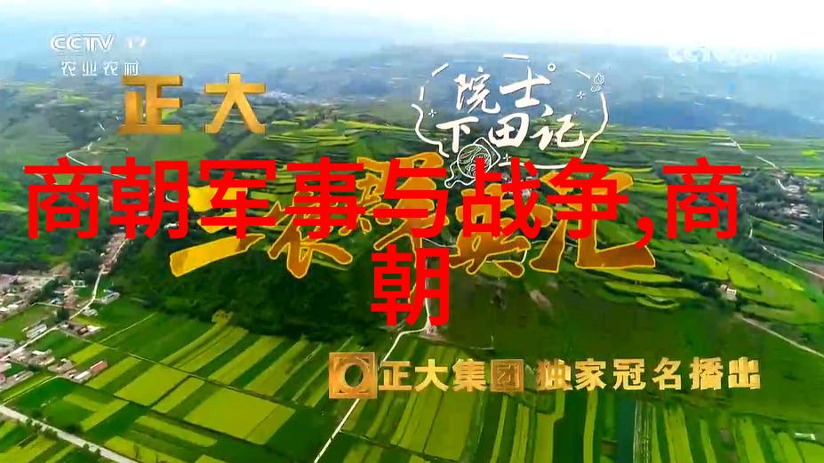 辉煌与暗影元朝的盛世与衰败