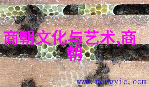 中国学生代表蔡伸受邀发言