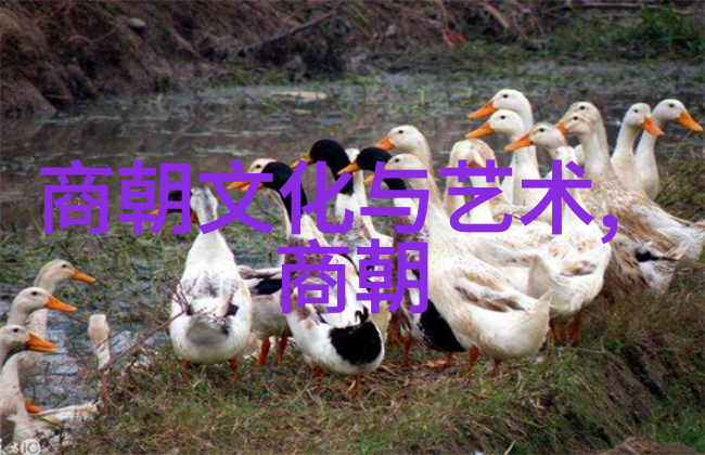 宋朝的统一与大一统之谜