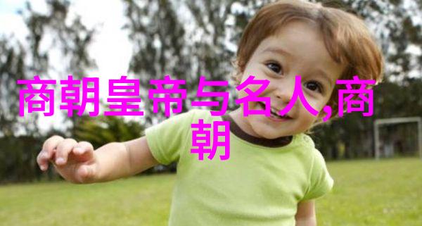 明末四大奇案李自成张献忠郑成功王夫之