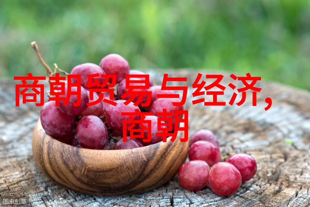 乾隆无敌历史的独尊者