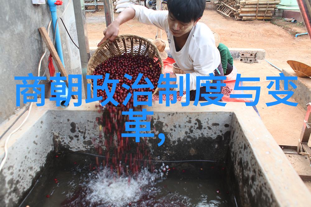 家庭中的绝对权力者嫡妻的威严与影响力