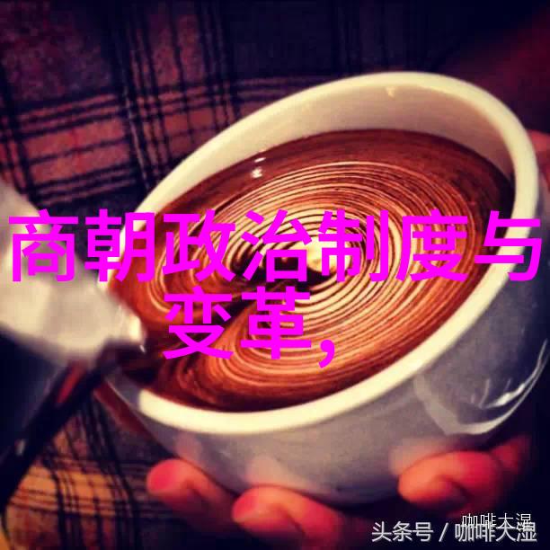 在土木堡战斗中双方使用了哪些特定作战技术或设备