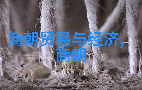 乾隆皇帝的100位爱妃中国历史上的情感纠葛