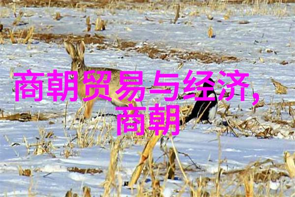后宫遗影元朝覆灭后的皇室公主悲凉命运