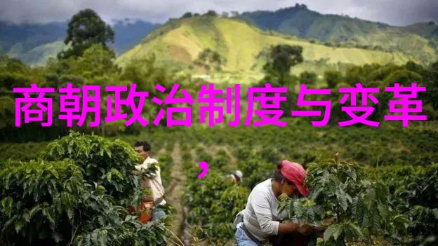 龙凤呈祥明朝第二位君主的传奇往事