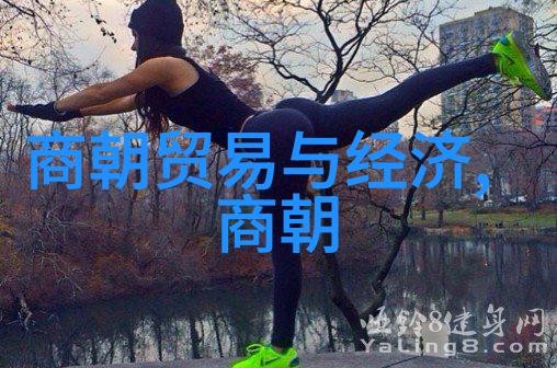 南宋覆灭之谜元朝征服的历史深度分析