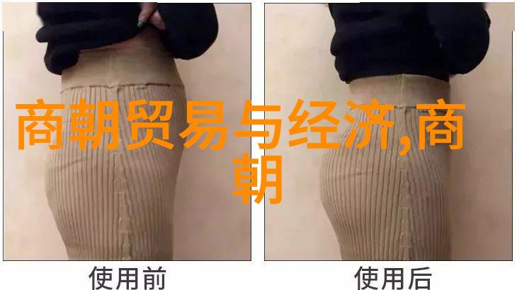 明朝第17位帝王的故事与历史意义探究