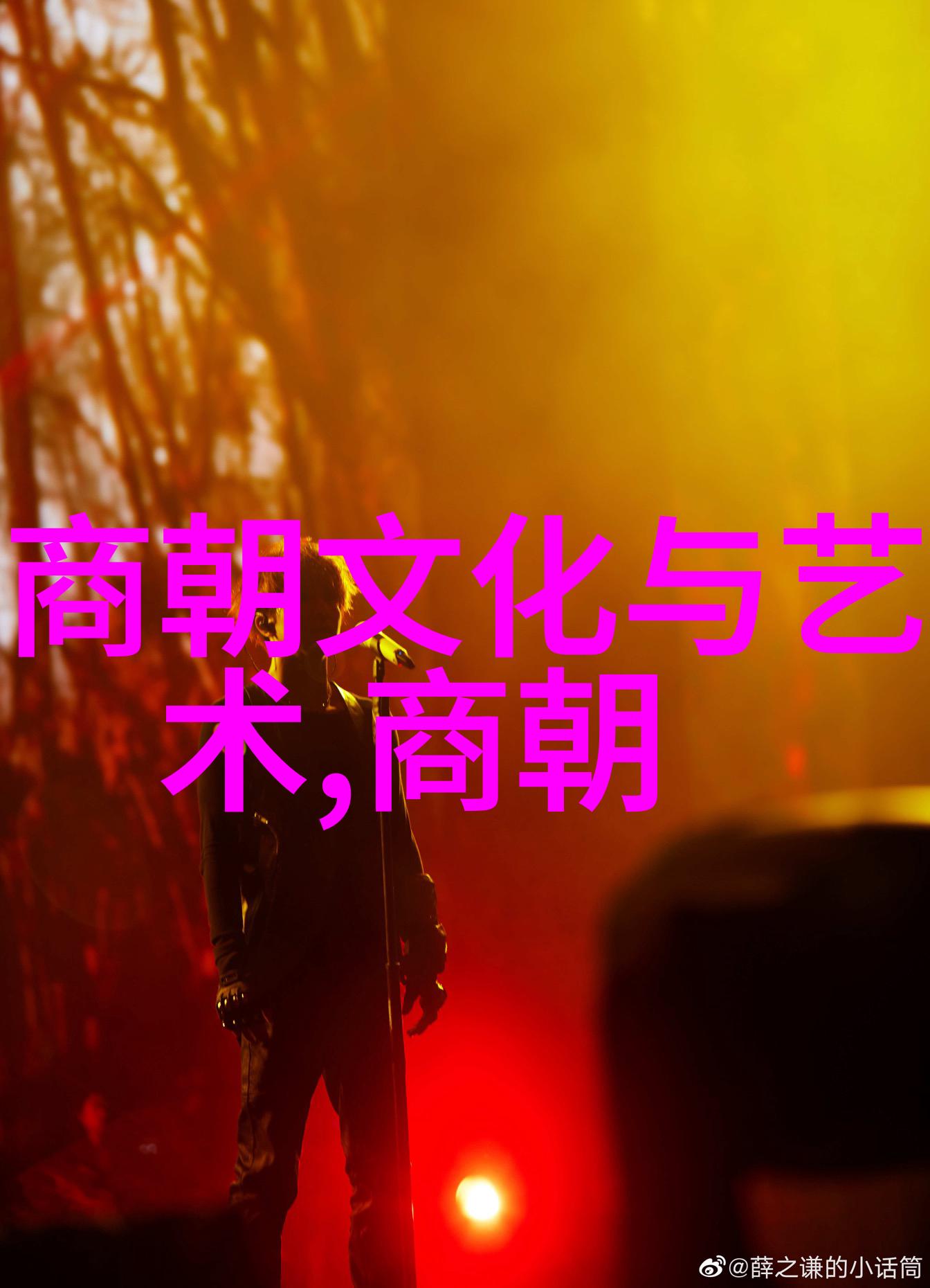 辉煌与衰落宋朝边陲小国的逆袭之旅