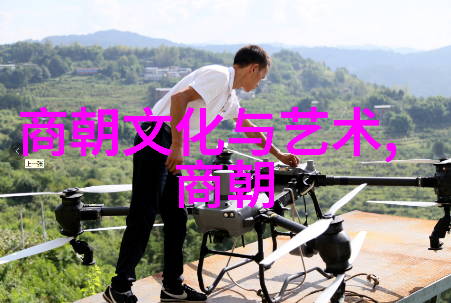 元朝建立时间之争1206年还是1271年历史考证与论争