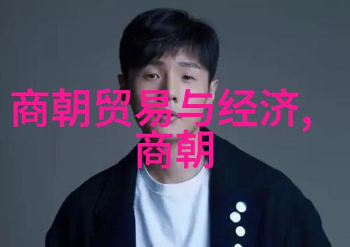 宗室世系录述研究清晰易懂的明朝族谱简图制作方法论