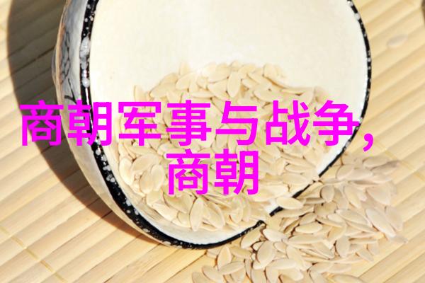 明朝明成祖继位者明朝历史上的继承人