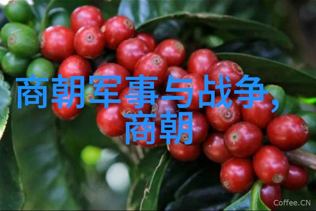木质支撑下的安宁椅子的双侧木棒的故事