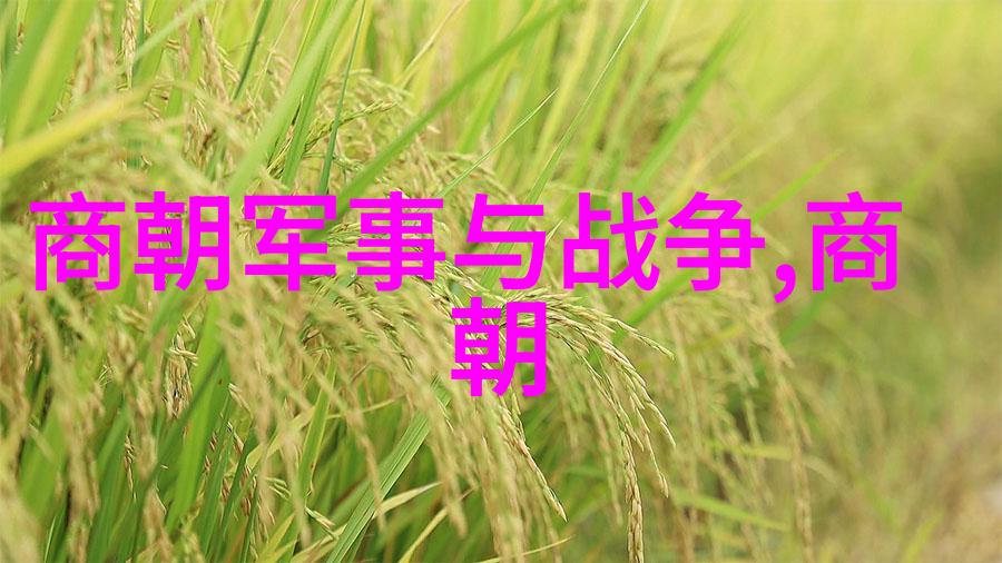 中国古代帝王征服史秦汉两朝的统一之路