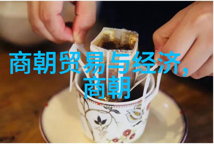 刘亦菲主演的靖康之夜电视剧简介
