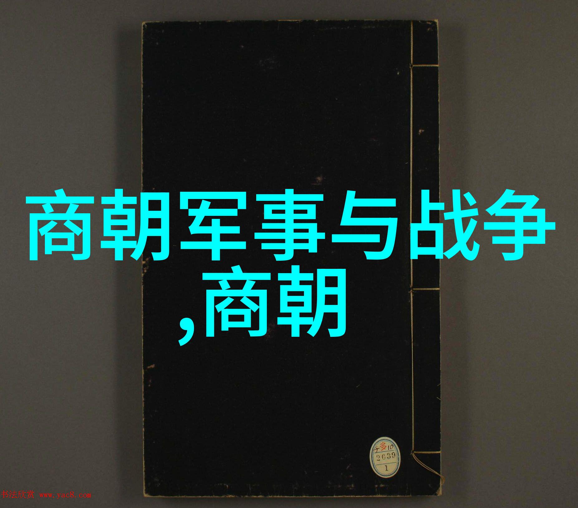盛世江山揭秘明朝的辉煌与变迁